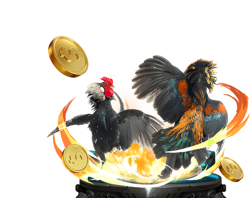 Cá cược đá gà Top88