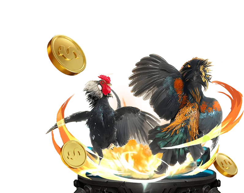 Cá cược đá gà Top88