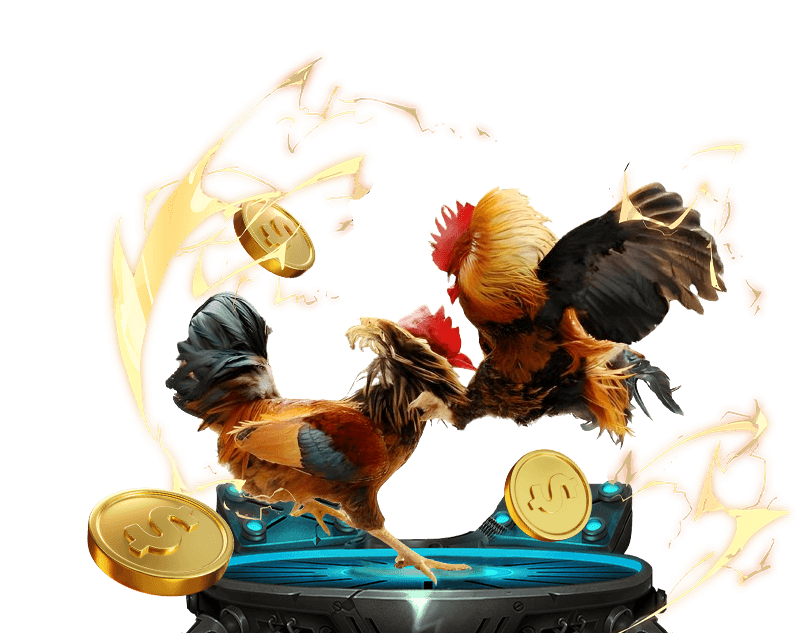 Đá Gà Top88 - Trực tiếp các trận đấu kịch tính, đặt cược dễ dàng