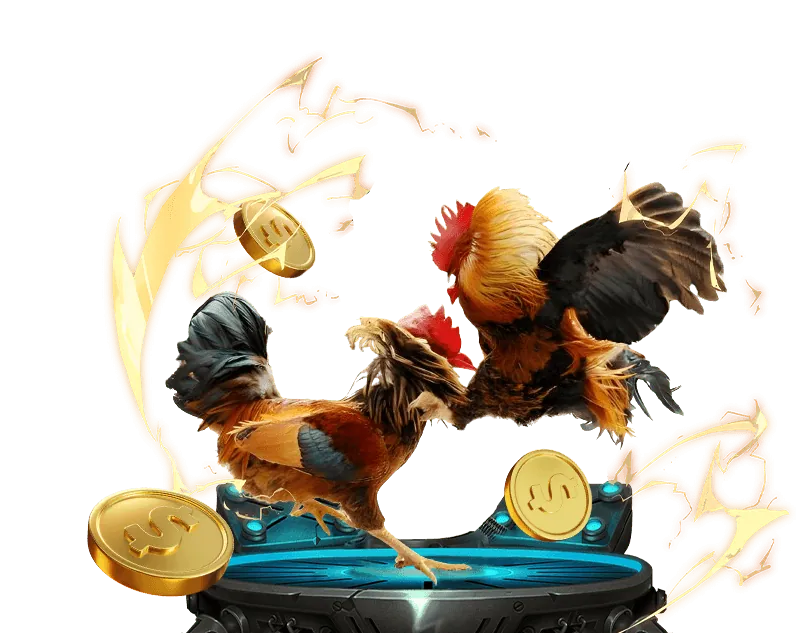 Đá Gà Top88 - Trực tiếp các trận đấu kịch tính, đặt cược dễ dàng